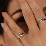 - The Must Have Ring -