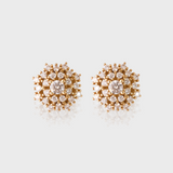 - The Perfect Earrings -