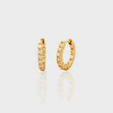 - The Petite Hoops -